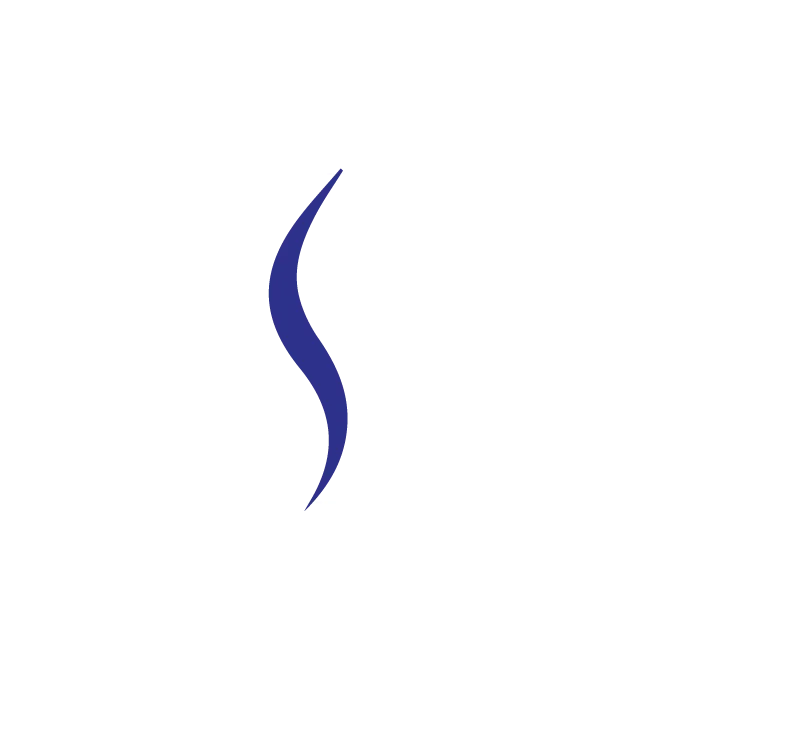 Pakistan software Export Board